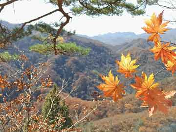 周鴻祎，創(chuàng)新者的同時(shí)，更是粉絲的暖心人——揭秘送車(chē)活動(dòng)背后的故事