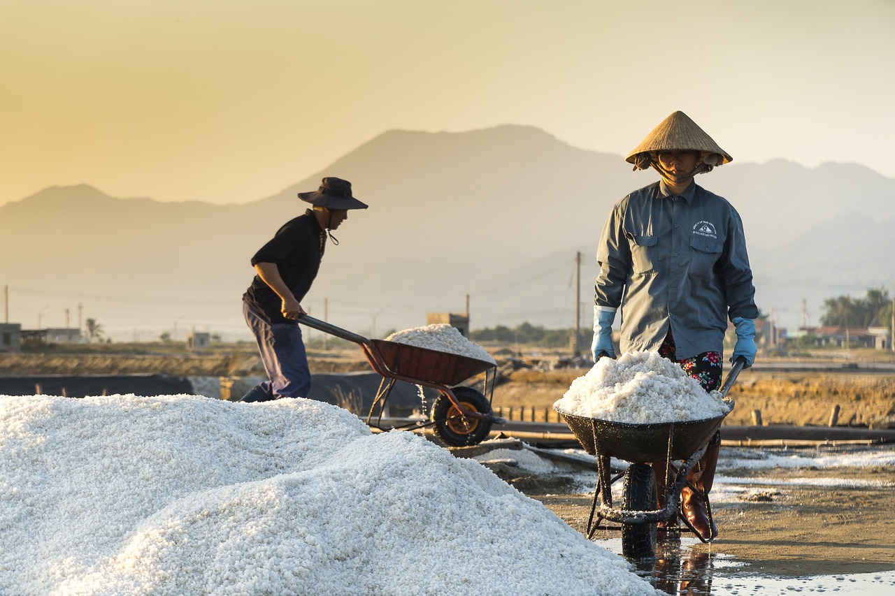 彩霸王免費(fèi)內(nèi)部資料澳門,圖庫(kù)熱門解答_大羅玉仙VAJ19.75.51